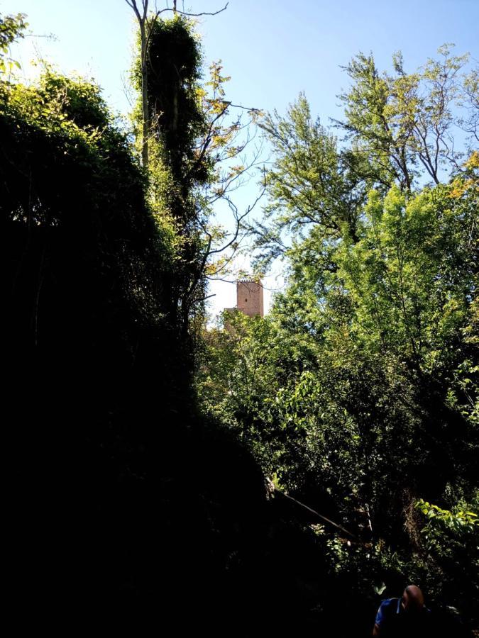 Casa La Antigua Almazara Villa Cazorla Exterior photo